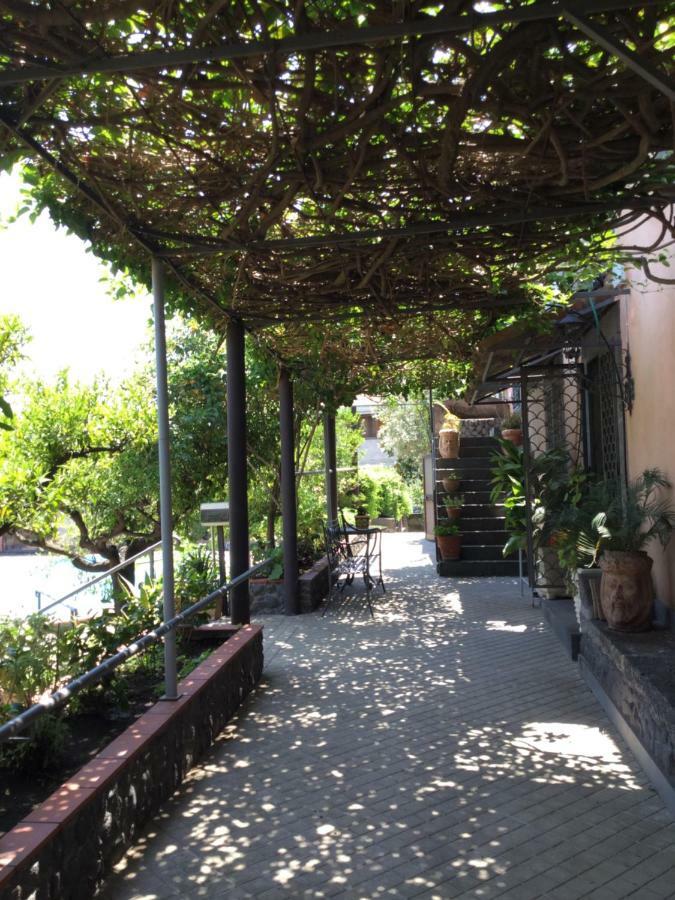 Villa Con Piscina マスカルチーア エクステリア 写真