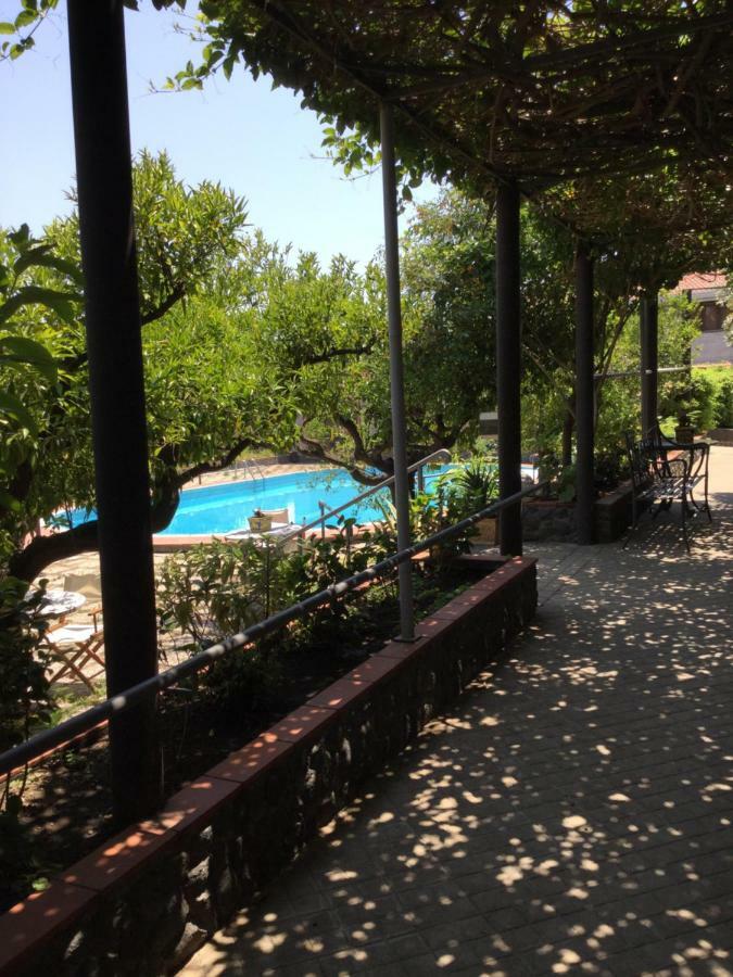 Villa Con Piscina マスカルチーア エクステリア 写真